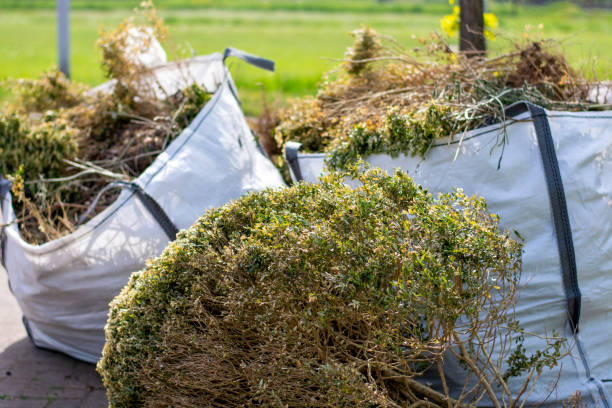 Best Junk Removal Near Me  in Scappoose, OR
